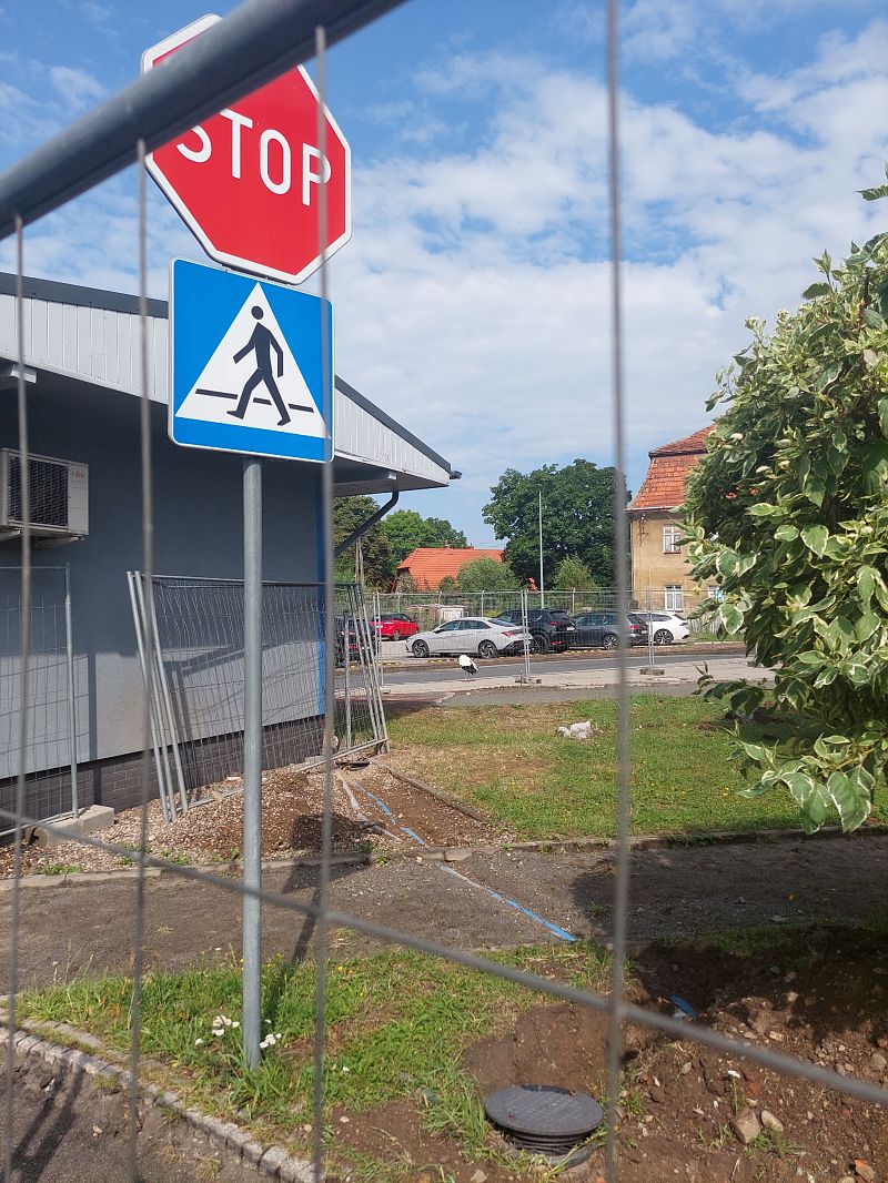 Weissstorch  - Rafał Walczybok