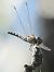Sympetrum striolatum © Massimo Tassinari