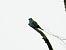 kraska  - Krystyna Kowalska
