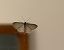 Idaea subsericeata © Dolores de Maria