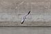 Mouette mélanocéphale  - Viehböck Helga