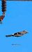 Eurasian Jay (Garrulus glandarius) © Jose Molis