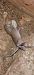 Ratto delle chiaviche  - Giacomo Sgorlon