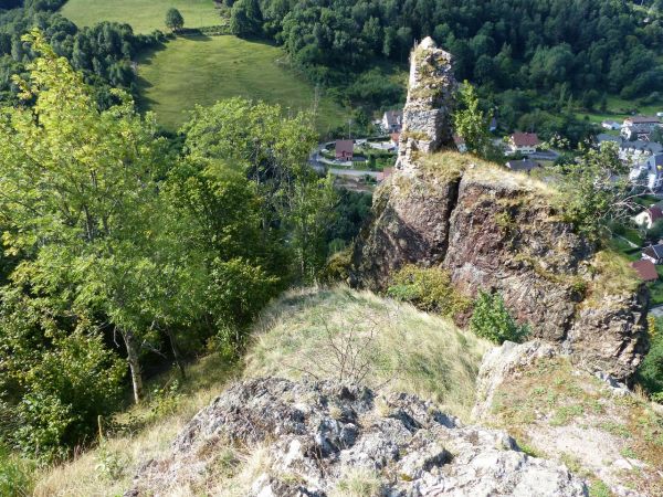 Ephippigère des vignes 