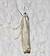 Agriphila geniculea  - Thomas Lux