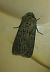 Noctuelle des moissons 