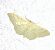 Idaea straminata 