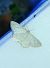 Idaea subsericeata 