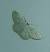Idaea subsericeata 