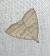 Herminia tarsicrinalis 