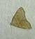 Herminia grisealis 