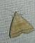 Herminia tarsicrinalis 