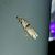 Nephopterix angustella 