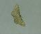 Idaea moniliata 