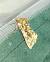 Autographa pulchrina 