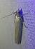 Selagia argyrella 