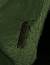 Lithosie crotte-souris 