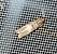 Acrobasis advenella  - Thomas Lux