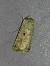 Noctuelle trapue 