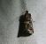Acrobasis marmorea 