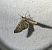 Eupithecia haworthiata 