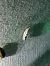 Ethmia dodecea 