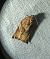 Archips podana 