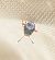 Capsus ater 