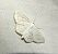 Scopula subpunctaria 