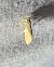Crassa unitella 