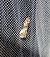 Acrobasis advenella 