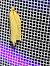 Clepsis pallidana  - Thomas Lux