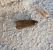 Acompsia cinerella  - Thomas Lux