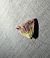 Noctuelle purpurine 