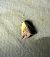Noctuelle purpurine 