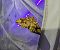 Eulithis populata 