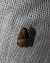 Acrobasis advenella 