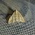 Herminia tarsicrinalis 