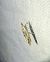 Ypsolopha scabrella 