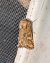 Luperina dumerilii 