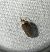 Agonopterix oinochroa 