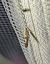 Argyresthia pruniella 