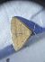 Zanclognatha lunalis 