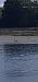 Sterne caspienne  - Christophe Payen