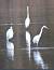 Grande Aigrette  - Dominique et Franck Moinault