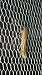 Caloptilia betulicola  - Melchior Viallet