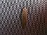 Lithosie crotte-souris (Pelosia muscerda) © Vincent Clement