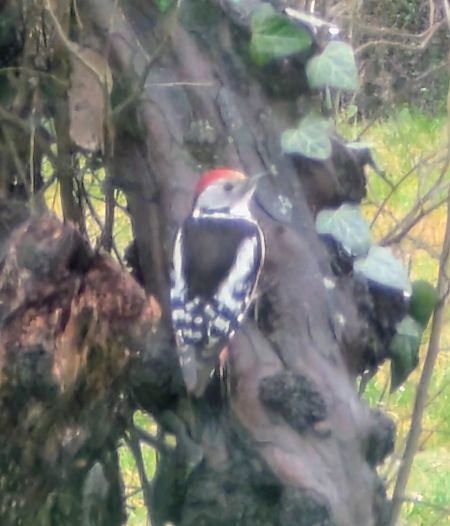 Pic mar  - Emmanuelle Quedeville