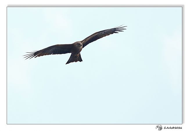 Milan noir  - Claude Ares