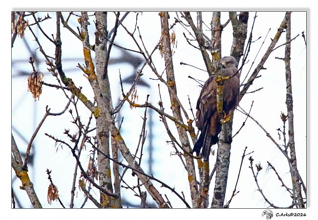 Milan noir  - Claude Ares